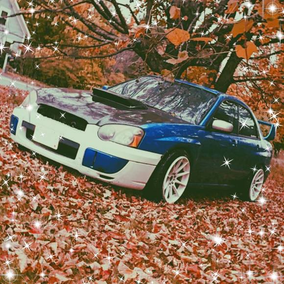 Meet your Posher, Adam - Picture 1 of 1